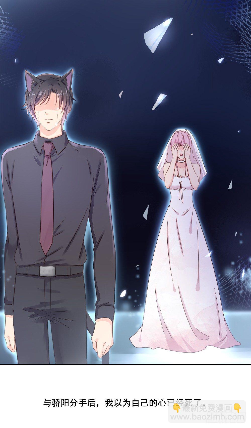 喵小黑的过去-第23话