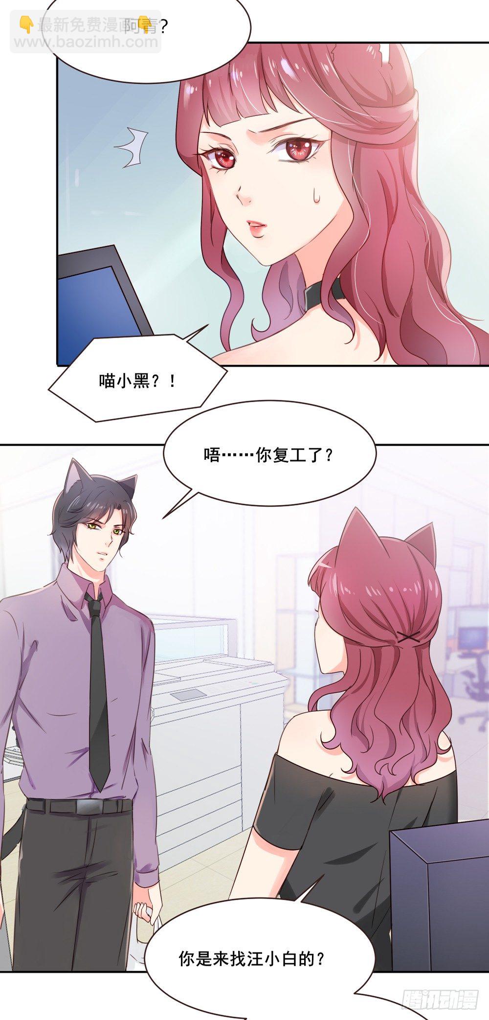 喵小黑的过去-第23话