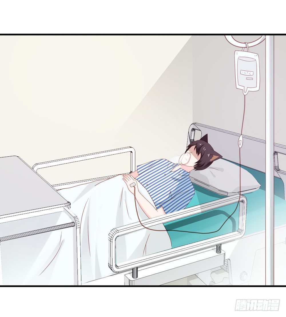 喵小黑的过去-第23话