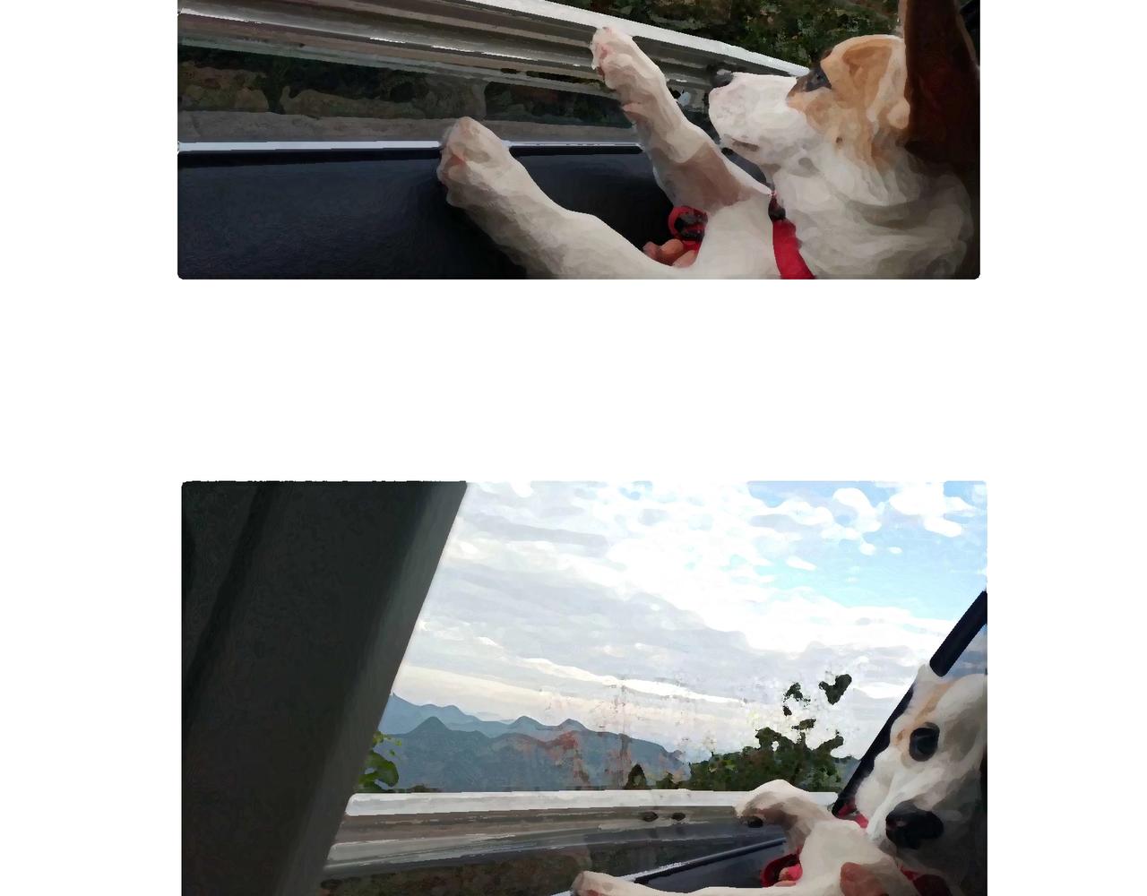 老司基也会晕车呀-第15话