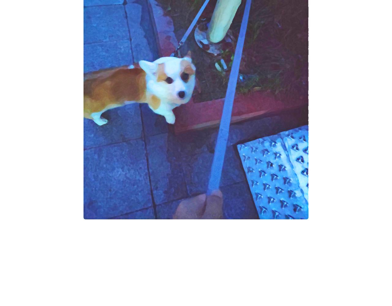 好像也没有特别聪明嘛-第25话