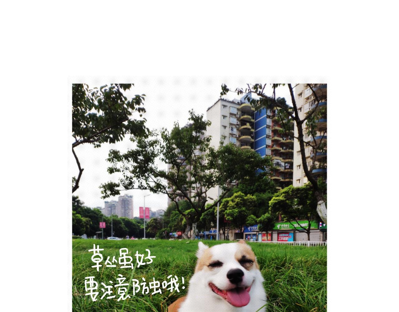 快乐地呱与干净土豆-第27话