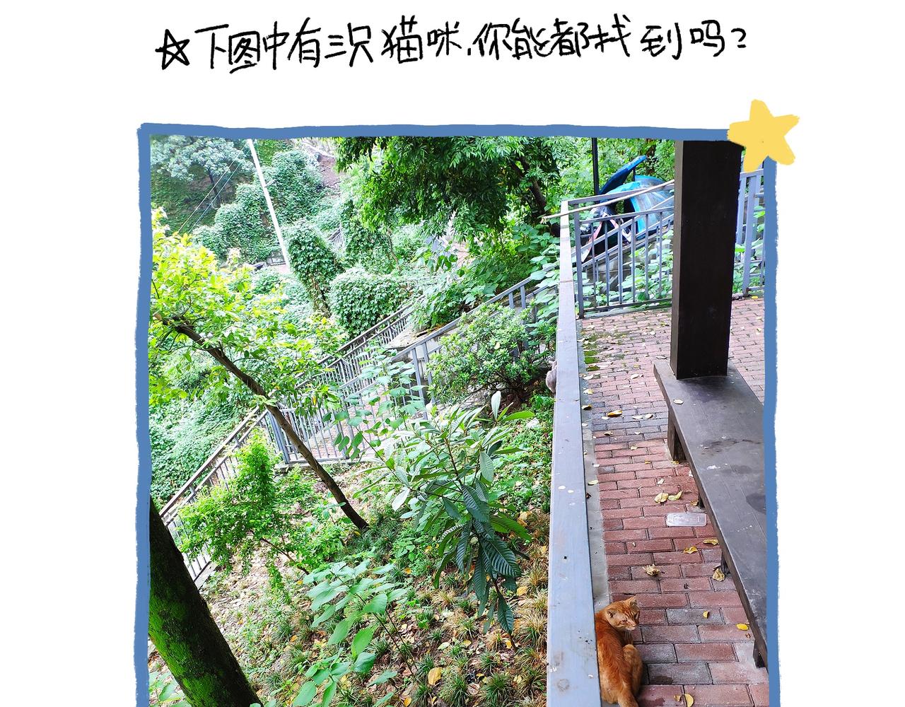 山城温度，山城道路-第29话