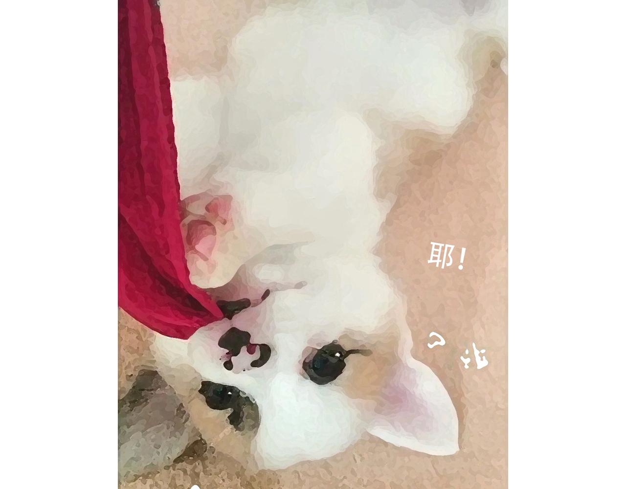 一起玩呀-第3话