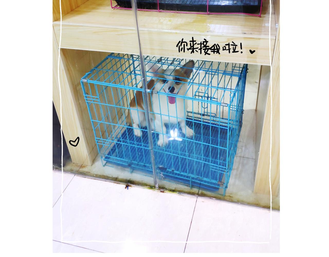 小幸福与小乌龙-第37话