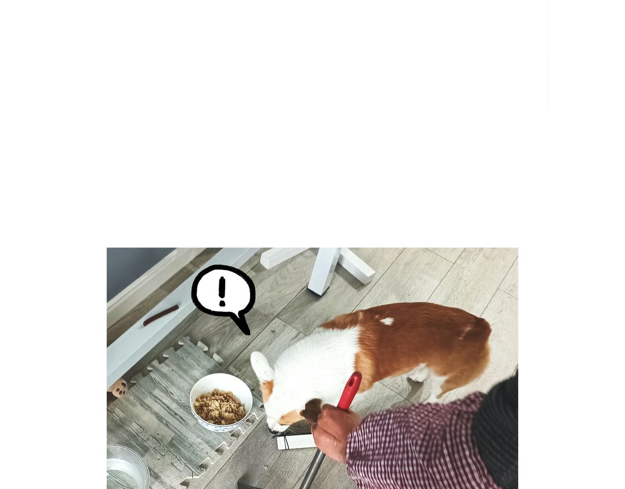 乖孩子要好好吃饭-第41话