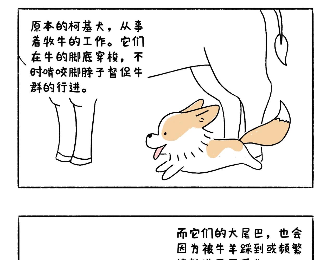 爸爸的离谱频道-第43话