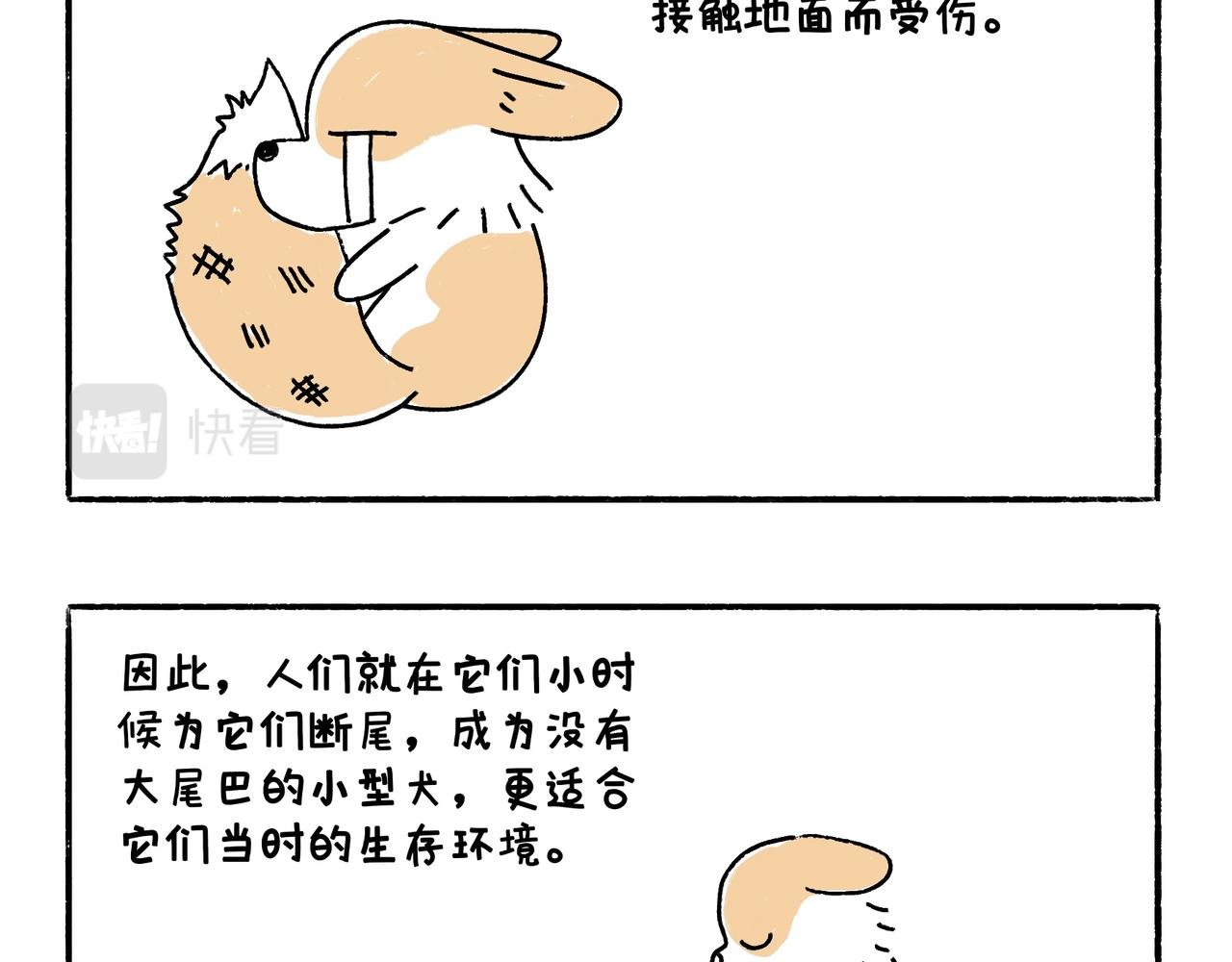 爸爸的离谱频道-第43话