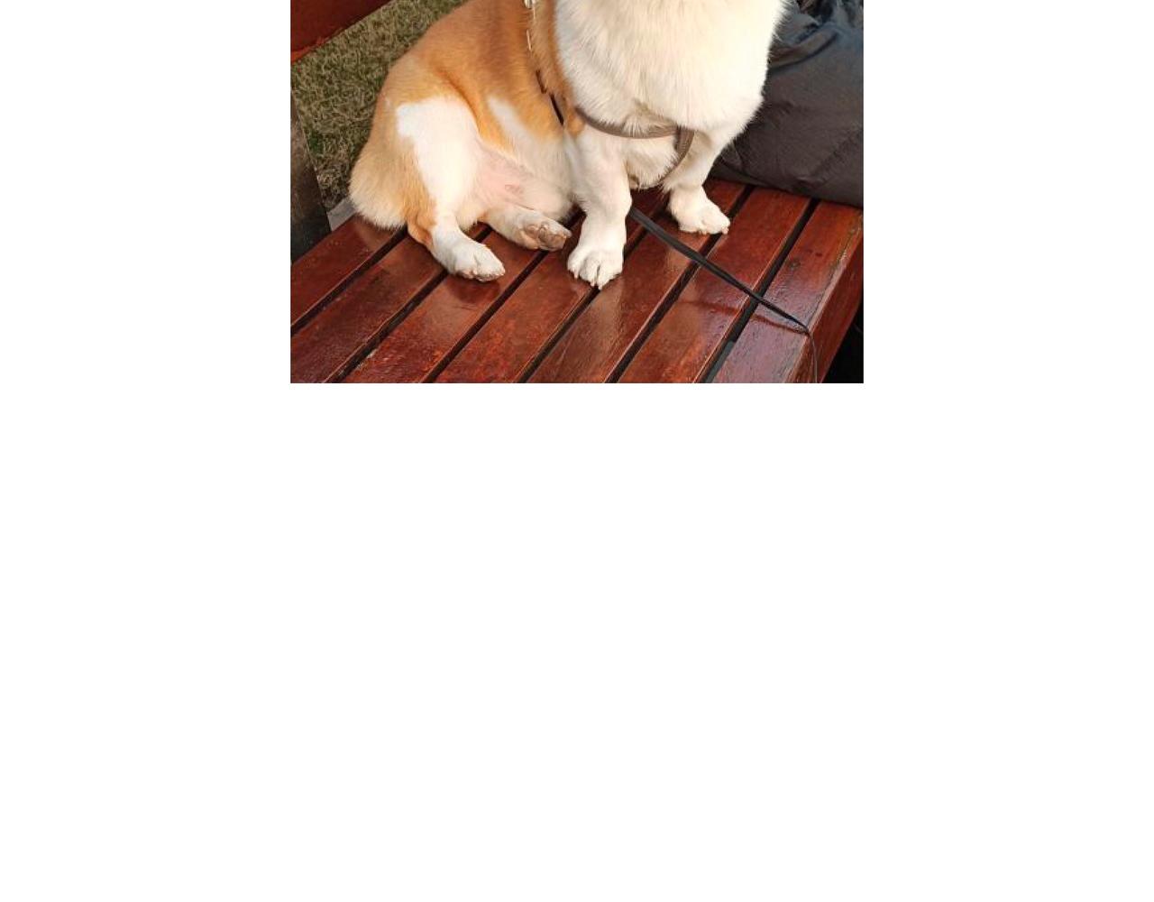 请勿打扰-第45话