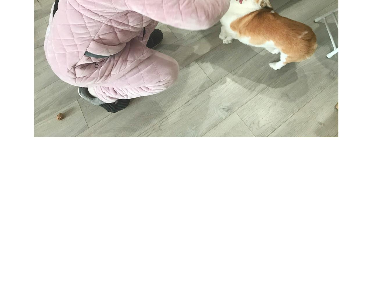 虎年春节篇2-第47话