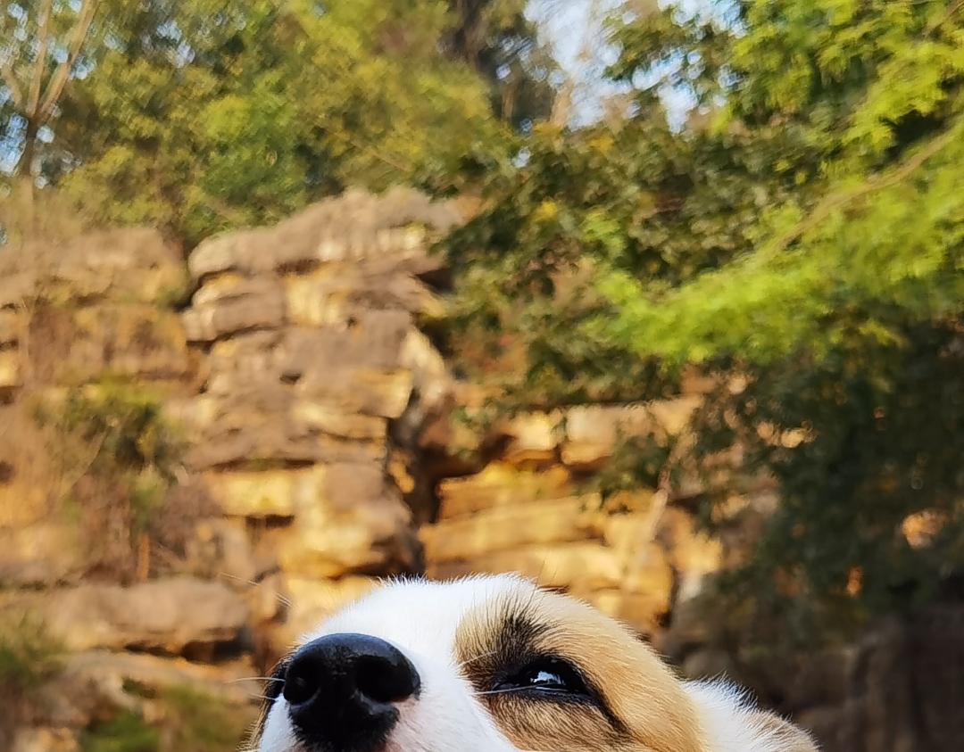 END 如果我们不曾相遇-第51话