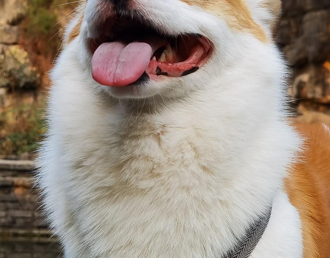 END 如果我们不曾相遇-第51话