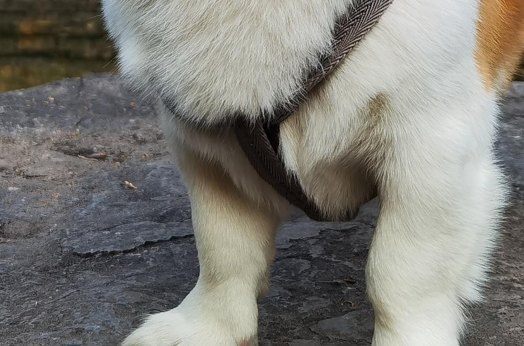 END 如果我们不曾相遇-第51话