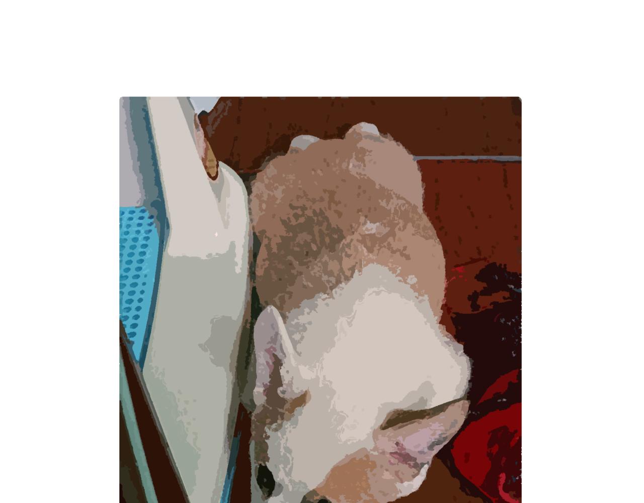 爱干净才能交到朋友哦-第7话