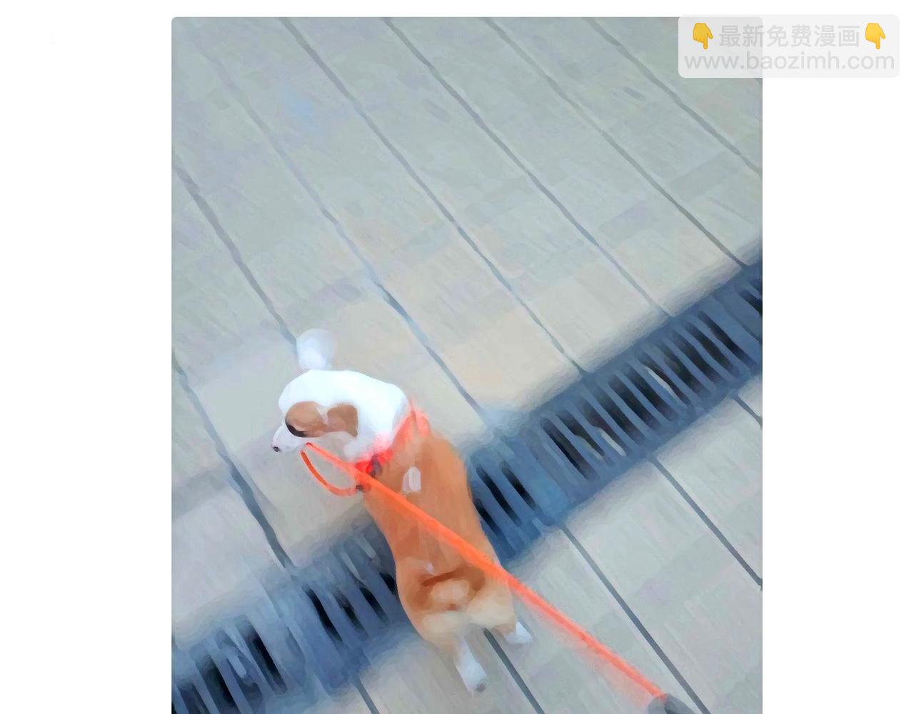 狗小地位大-第9话