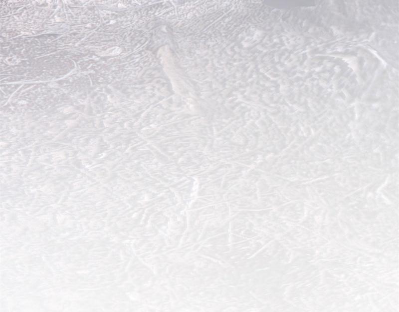 帝國第一團寵皇女 - 第220話 第218話 沾滿鮮血(1/2) - 7