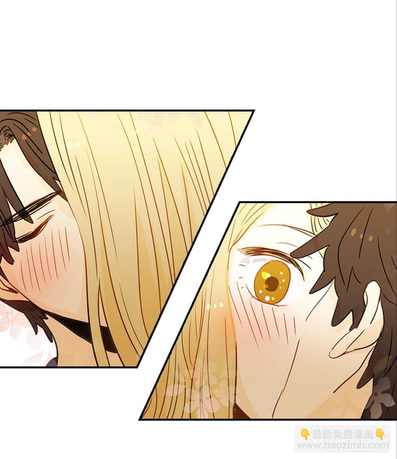 翟男的女人 - 76. 深夜訪客(1/2) - 7