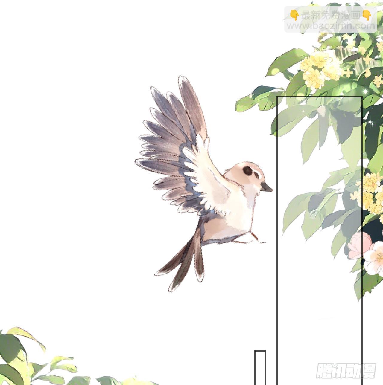 63 大难临头妈先飞(1/2)-第65话