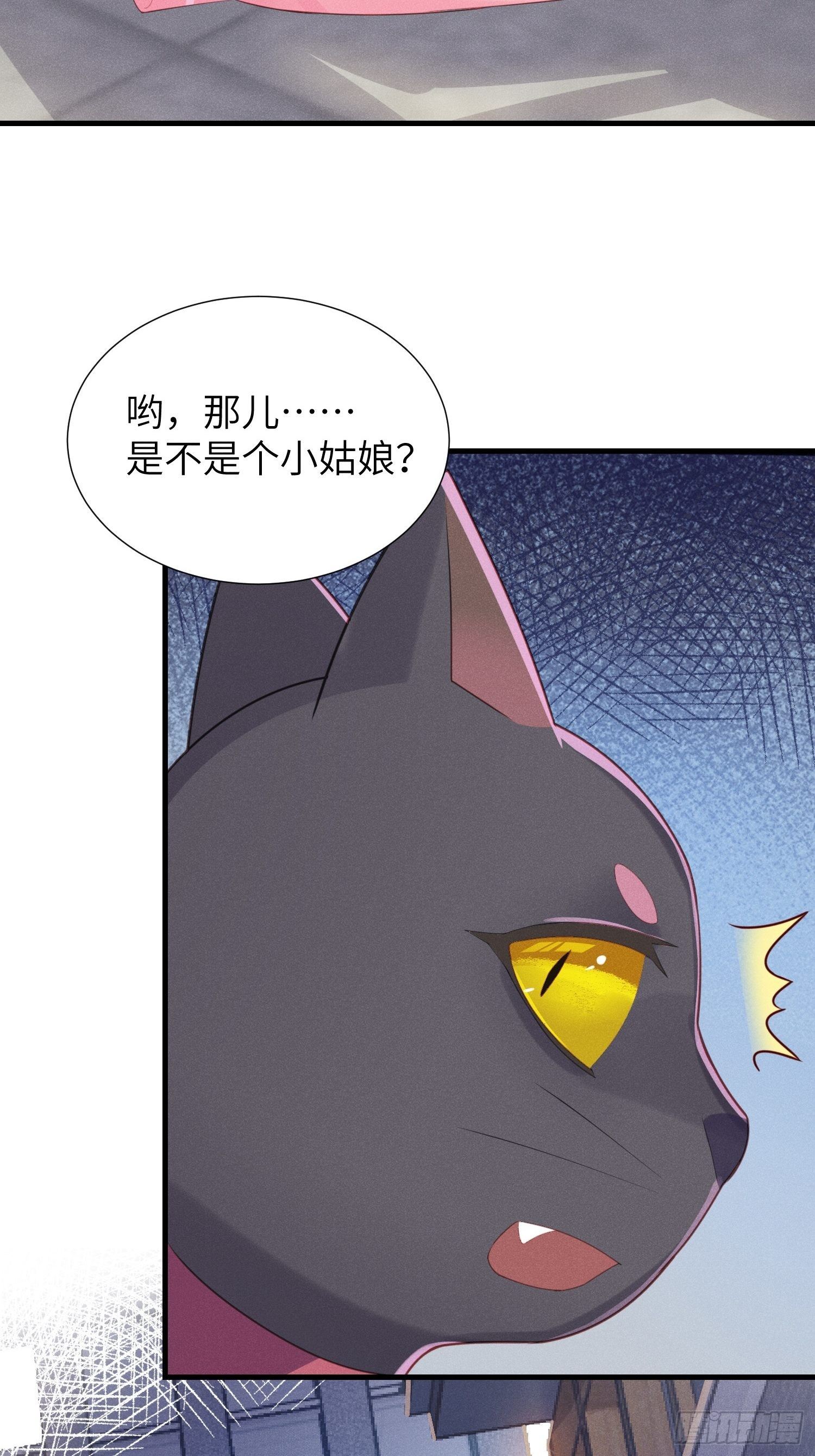 翘屁股猫男(1/2)-第11话