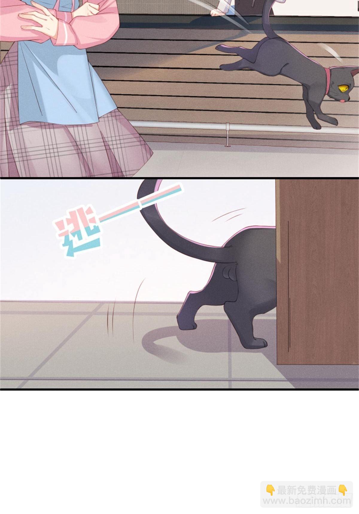 喵夫子有言：曲线救国-第3话