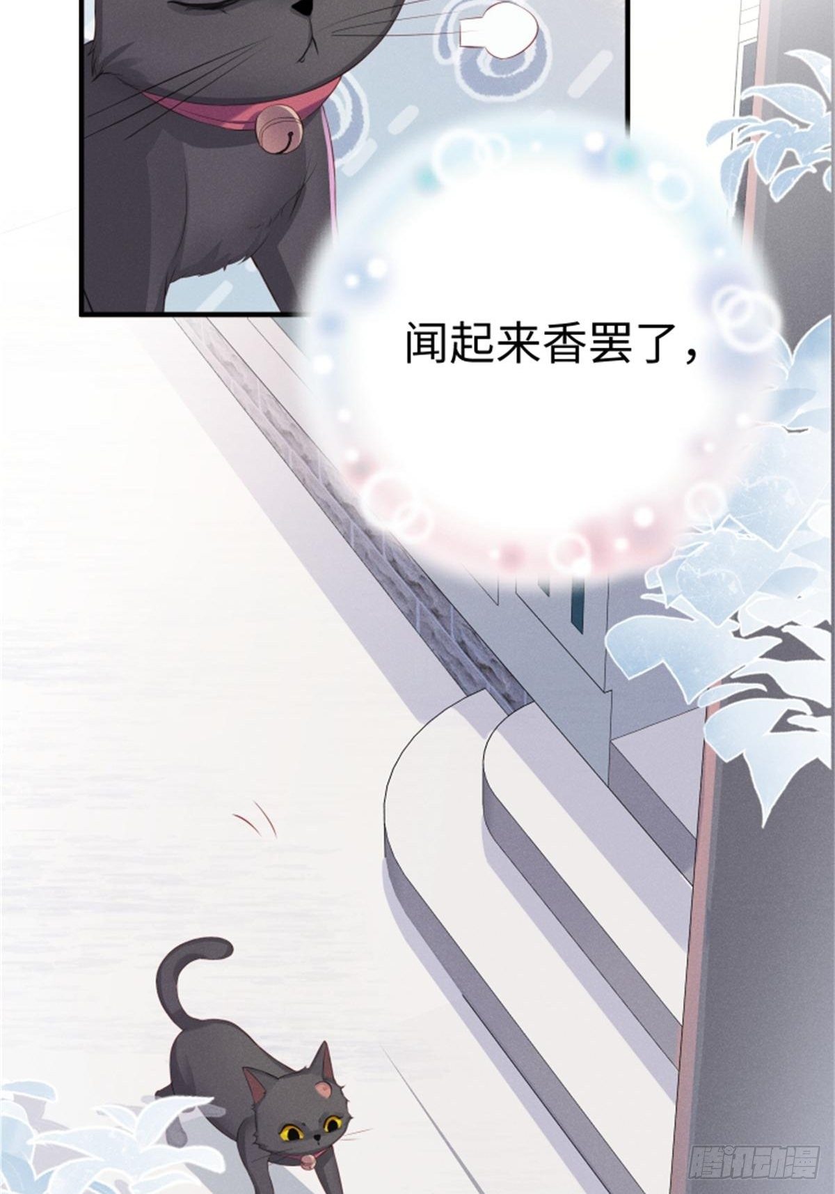 喵夫子有言：曲线救国-第3话