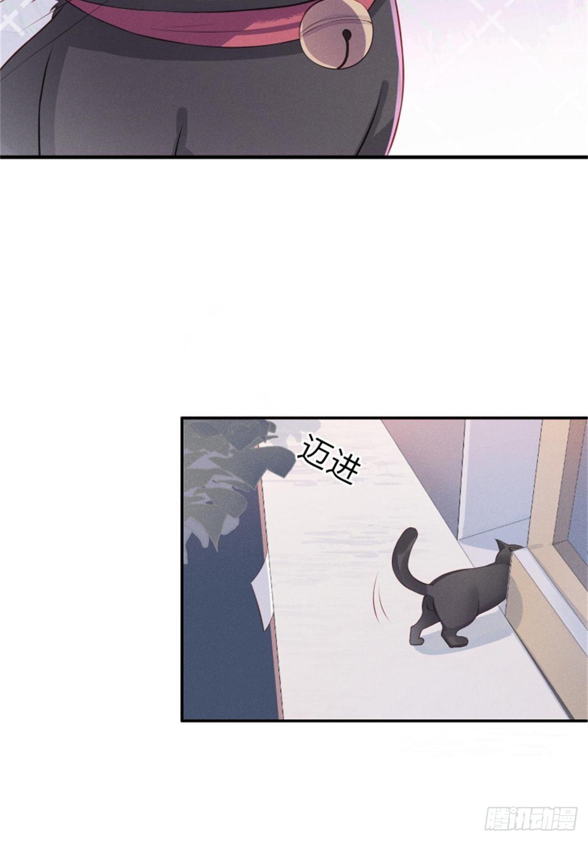 喵夫子有言：曲线救国-第3话