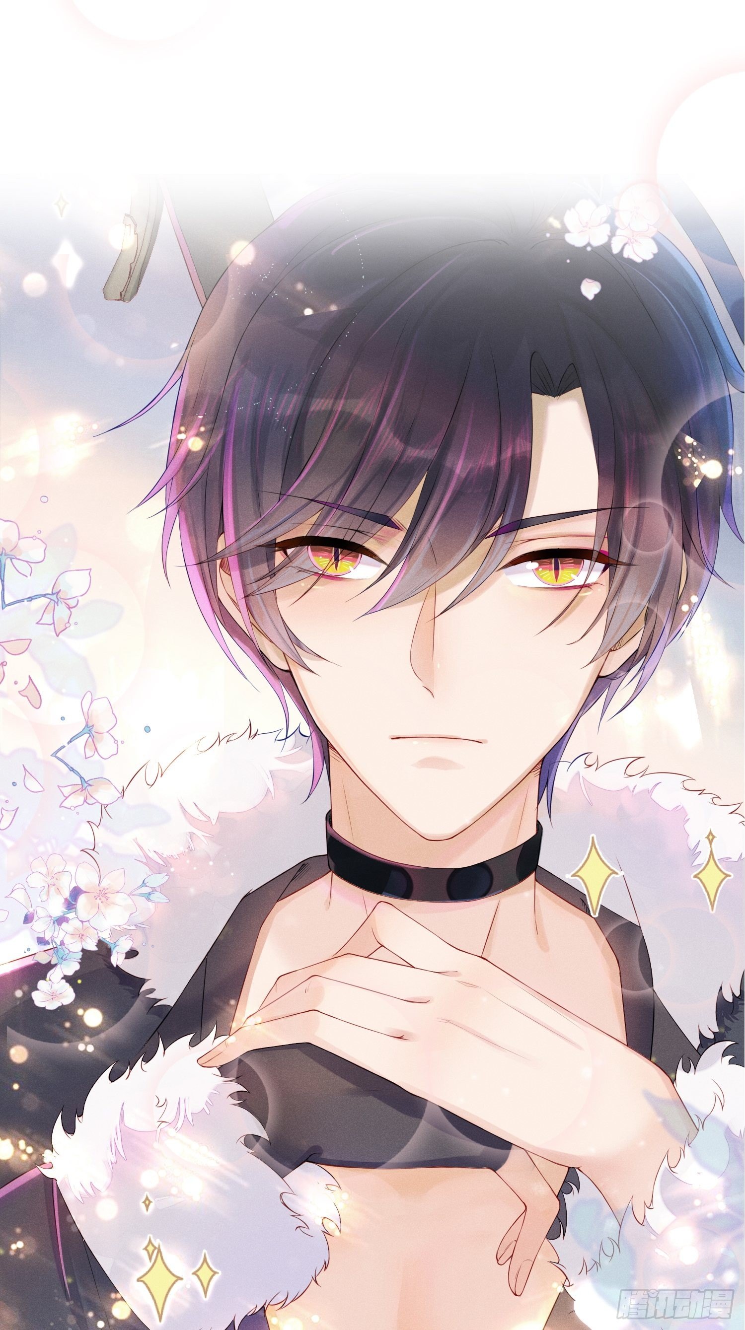 喵夫子有言：曲线救国-第3话