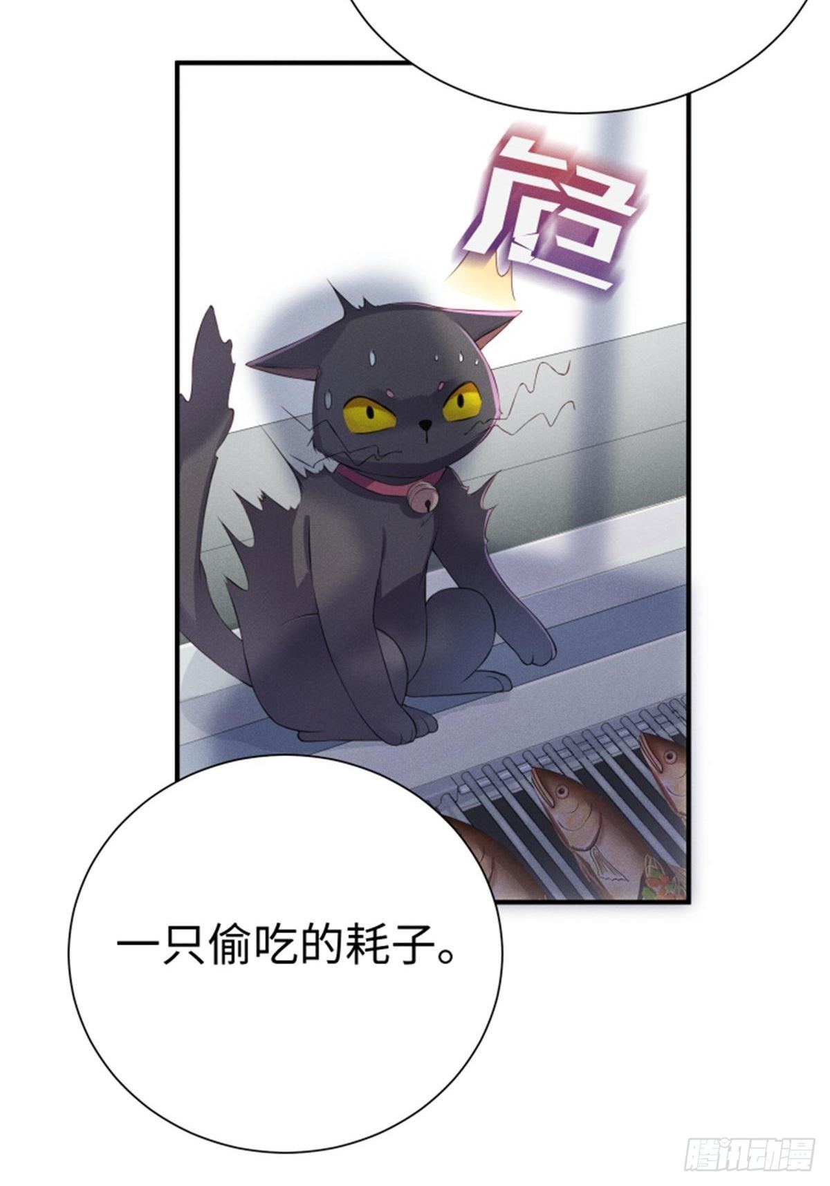 喵夫子有言：曲线救国-第3话