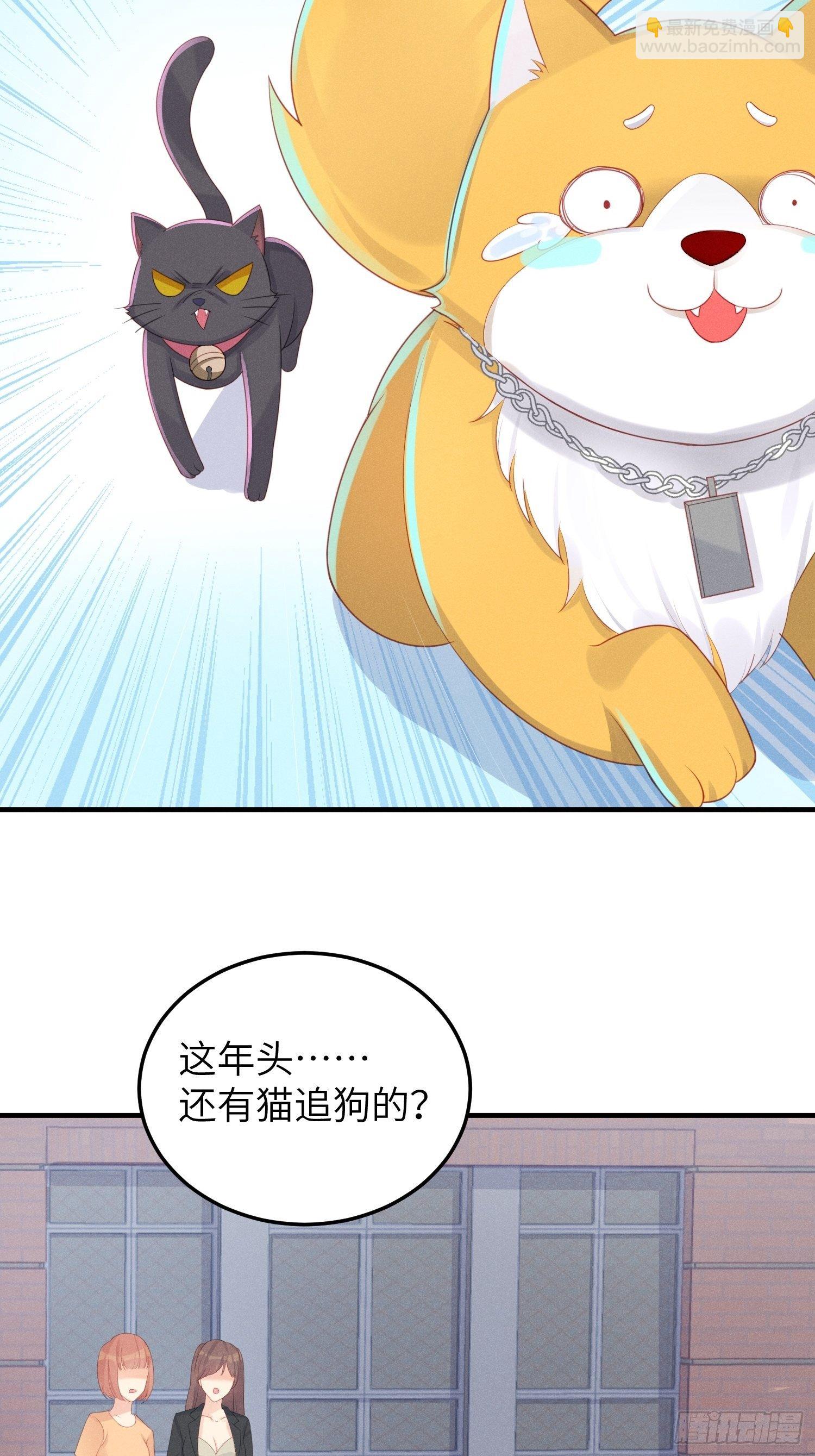 做绝育了么？(1/2)-第21话