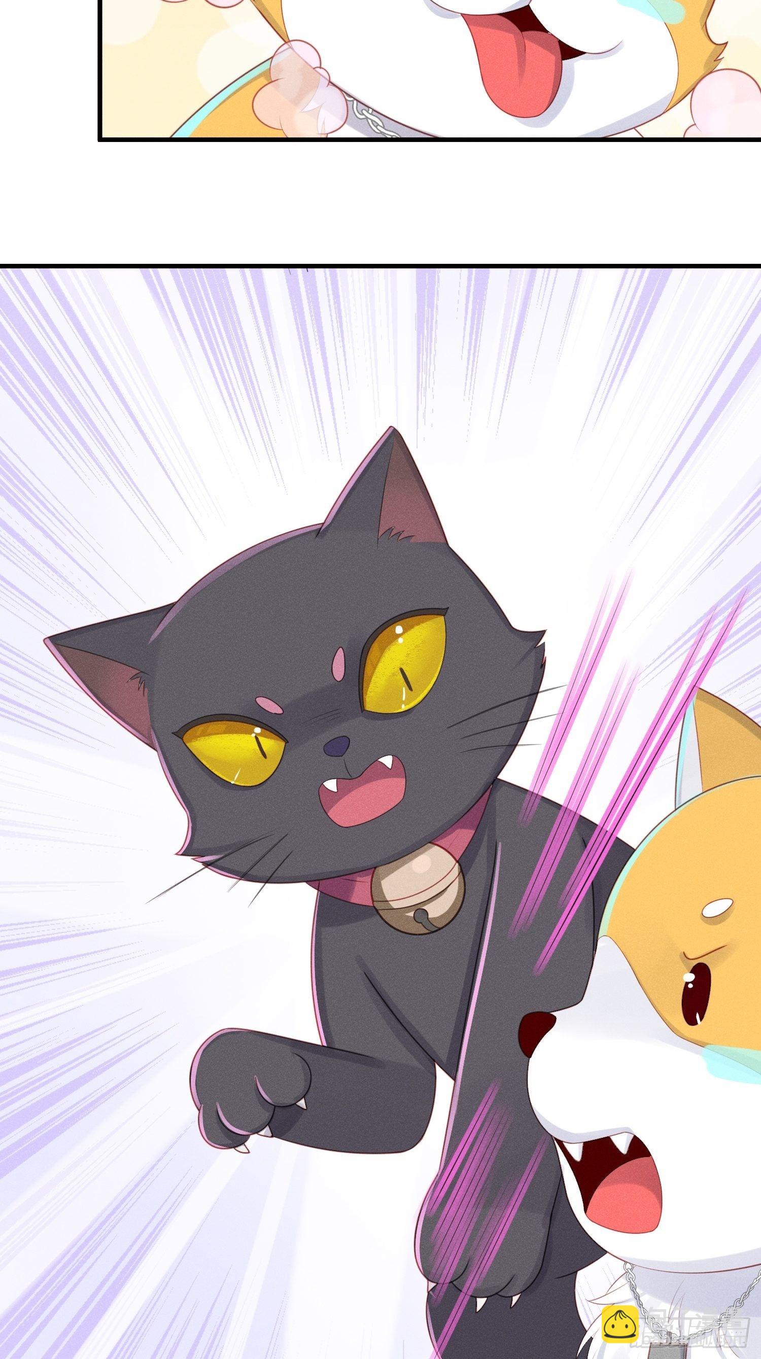 做绝育了么？(1/2)-第21话