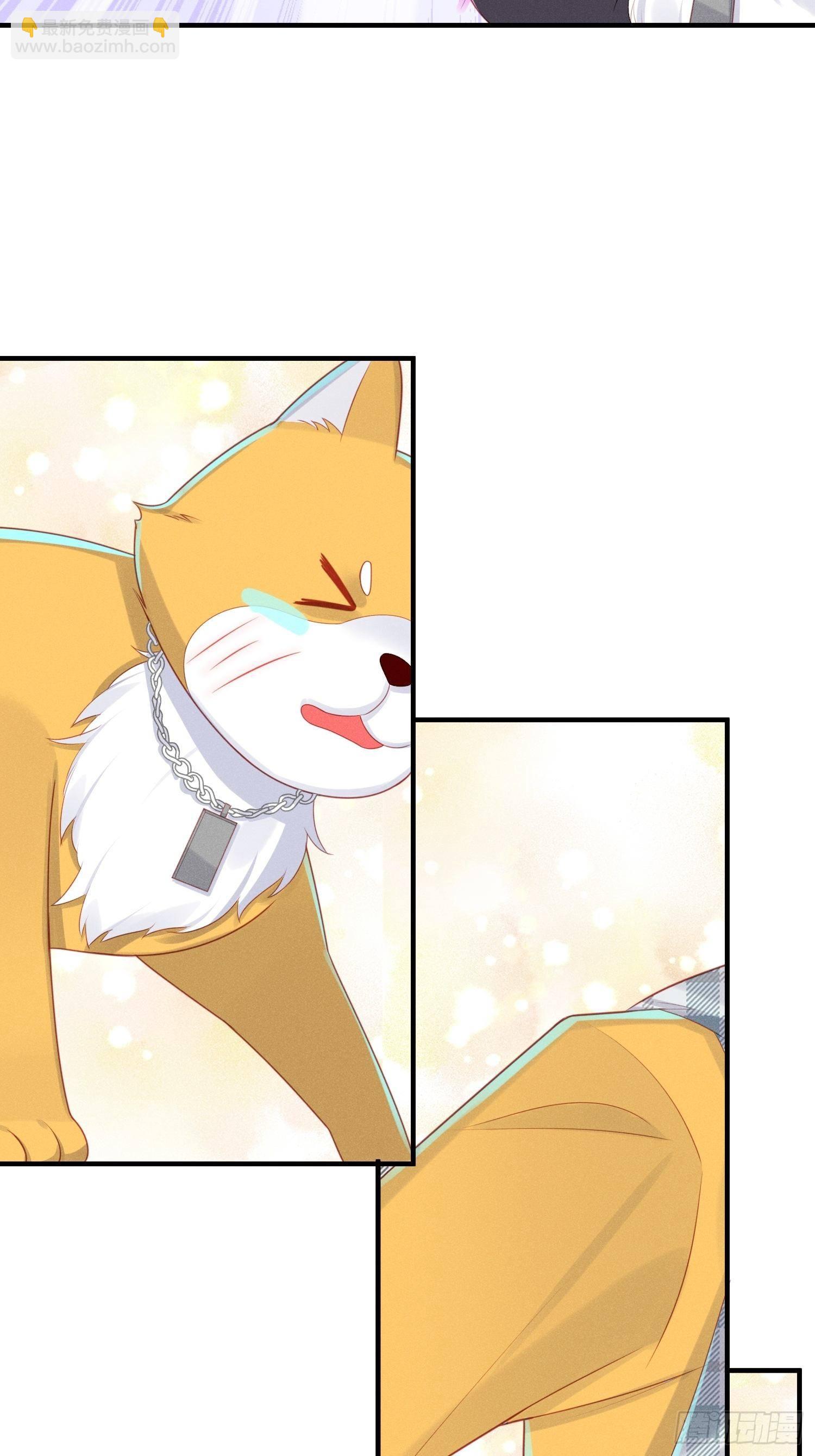 做绝育了么？(1/2)-第21话