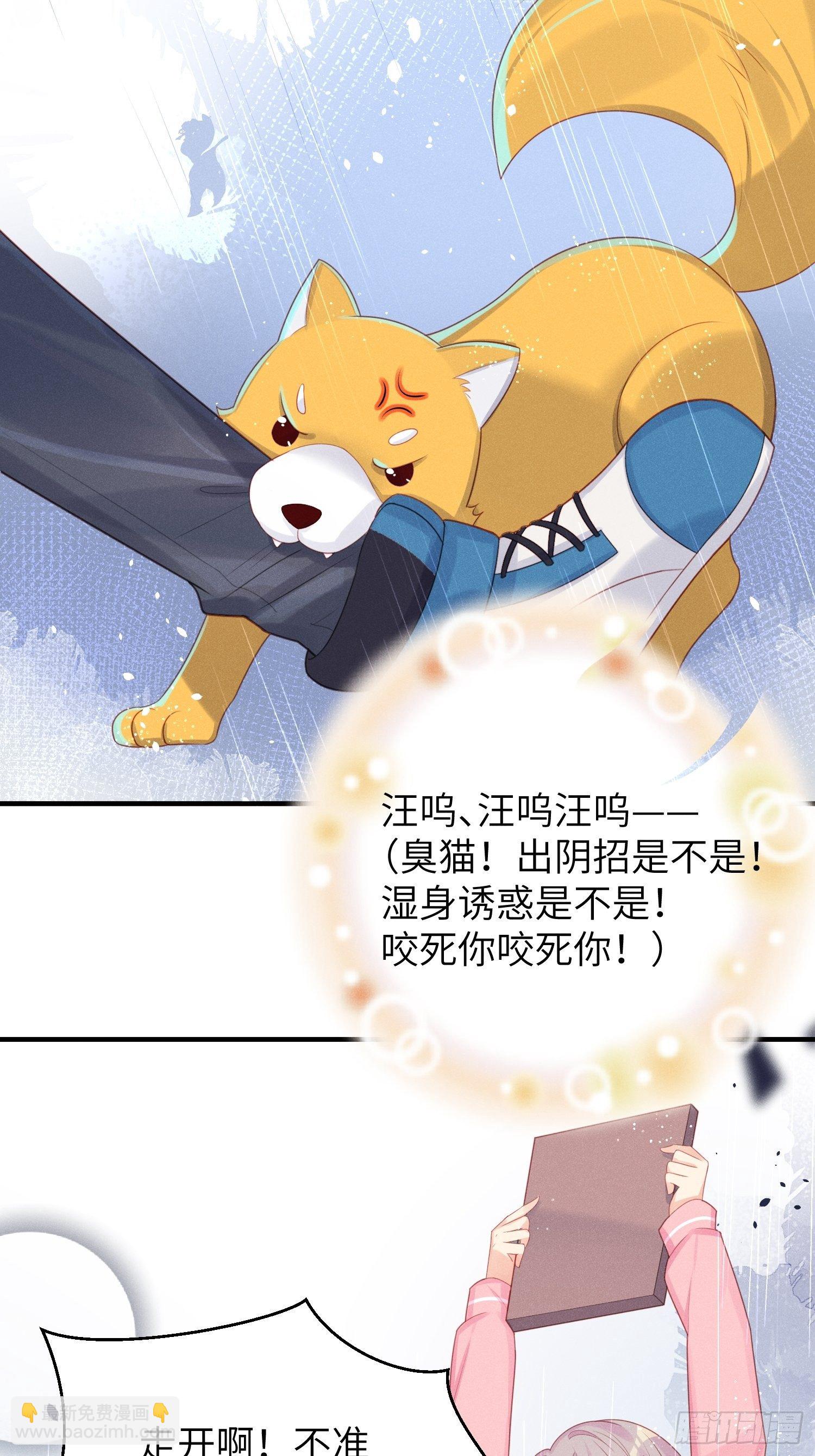 做绝育了么？(1/2)-第21话