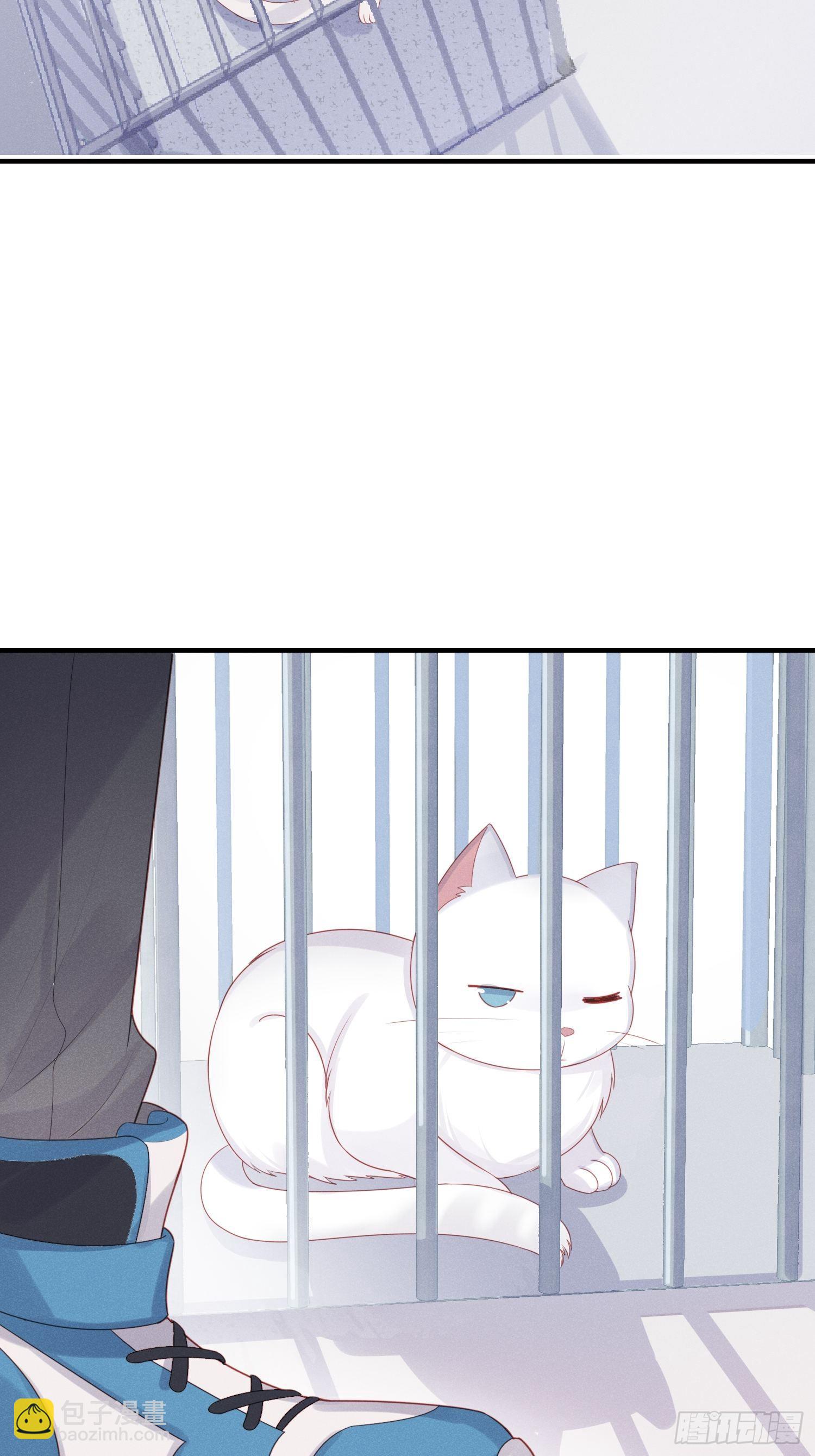 人间的十二年(1/2)-第23话