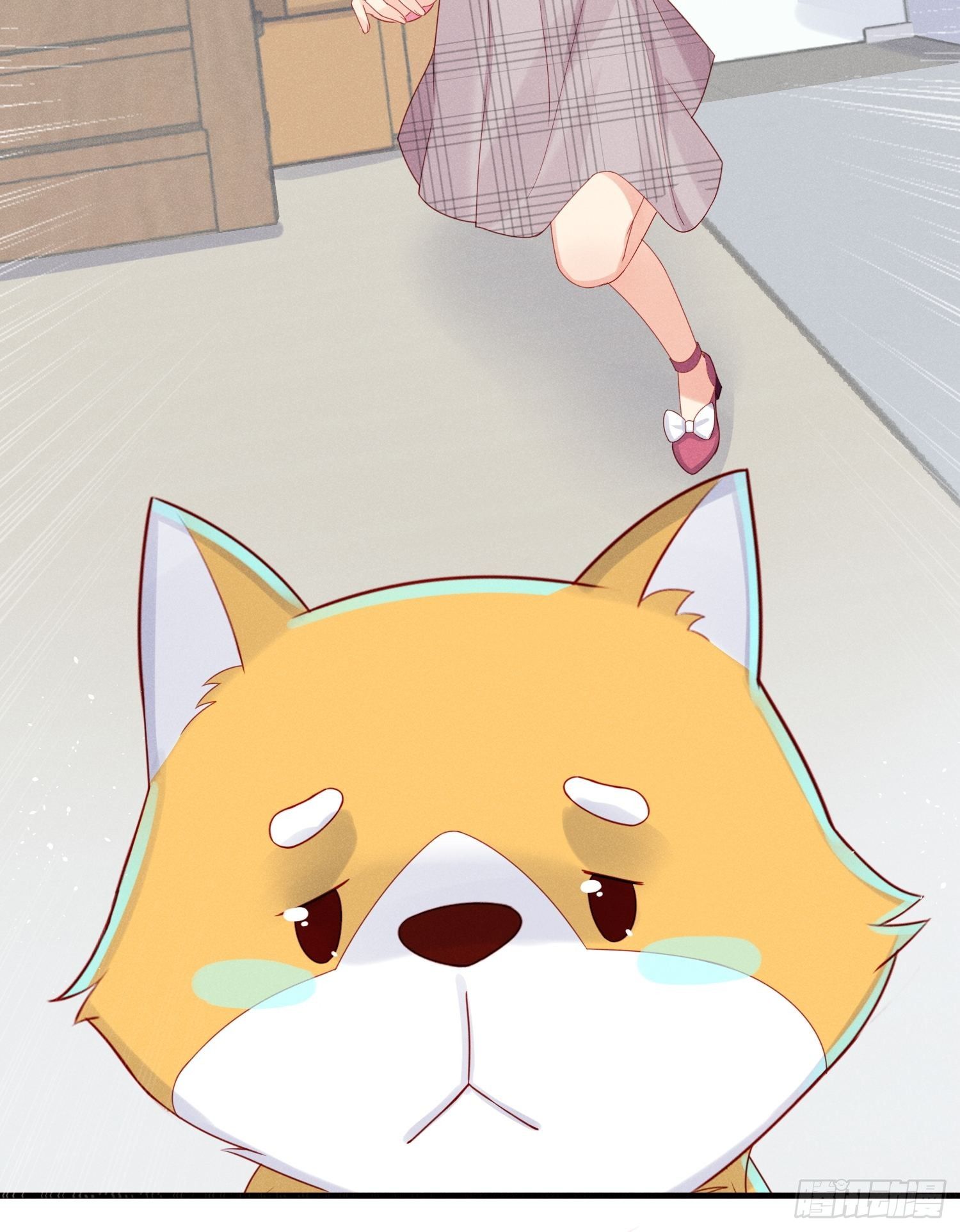 领地意识(1/2)-第25话