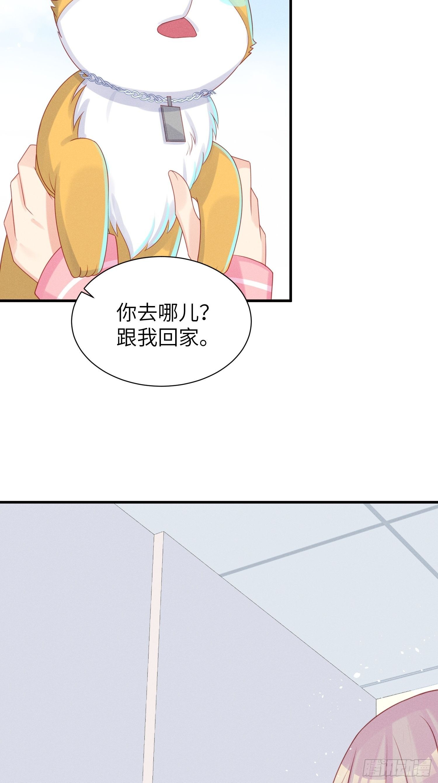 领地意识(1/2)-第25话