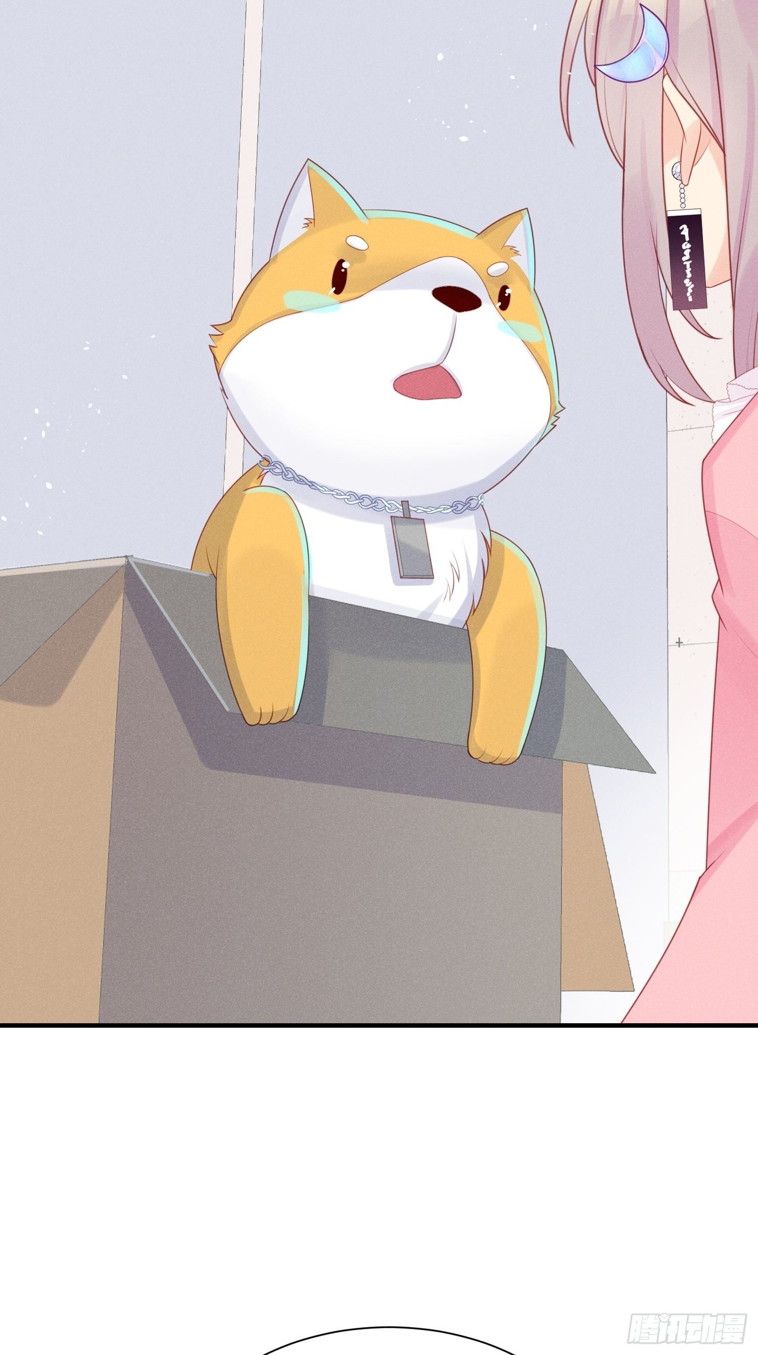 领地意识(1/2)-第25话