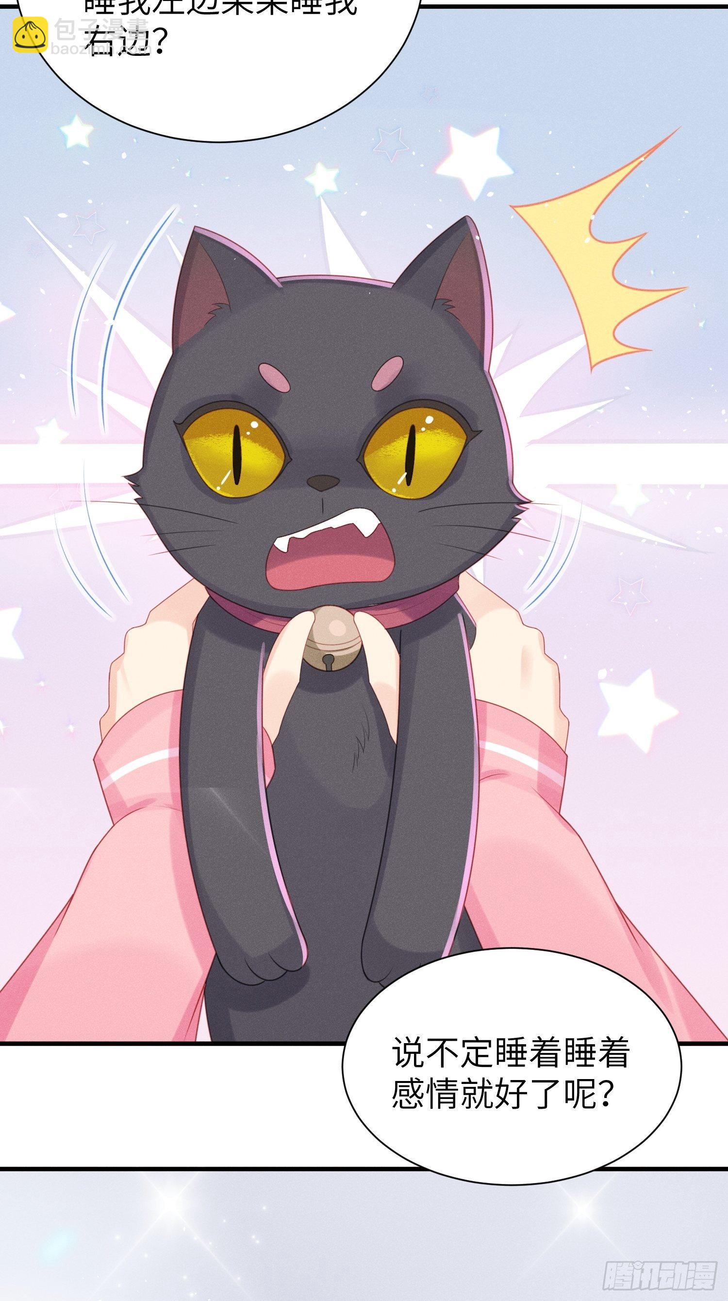 领地意识(1/2)-第25话