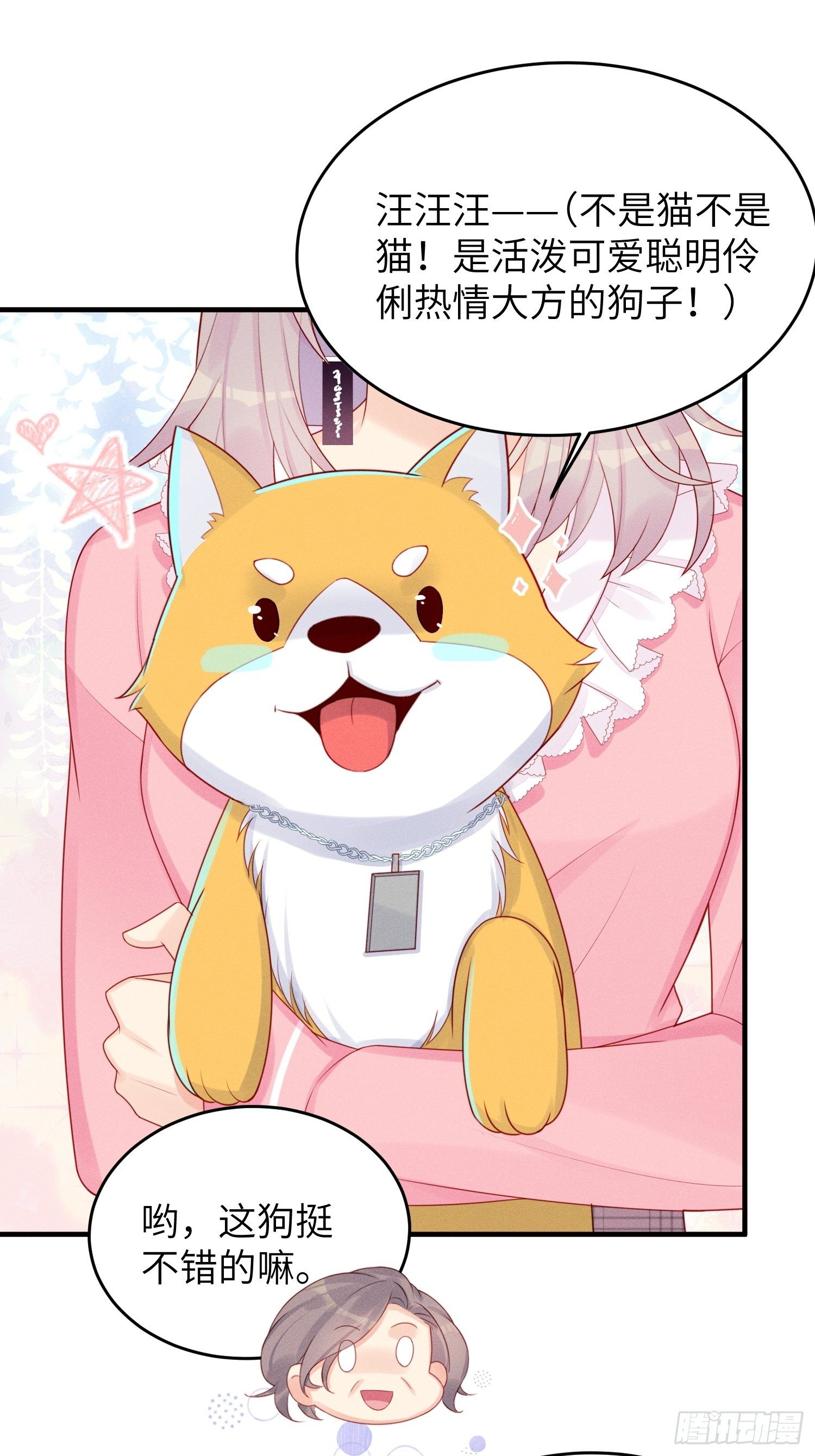 领地意识(1/2)-第25话