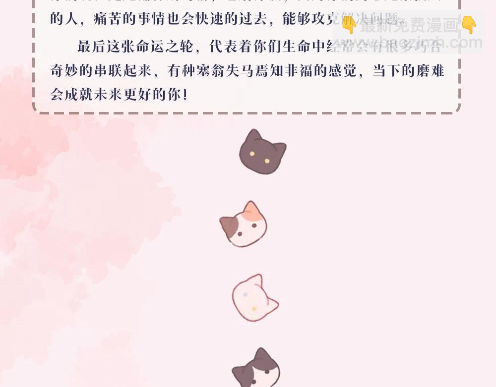 第7期 盐粒夫妇塔罗测试（日更中）-第41话