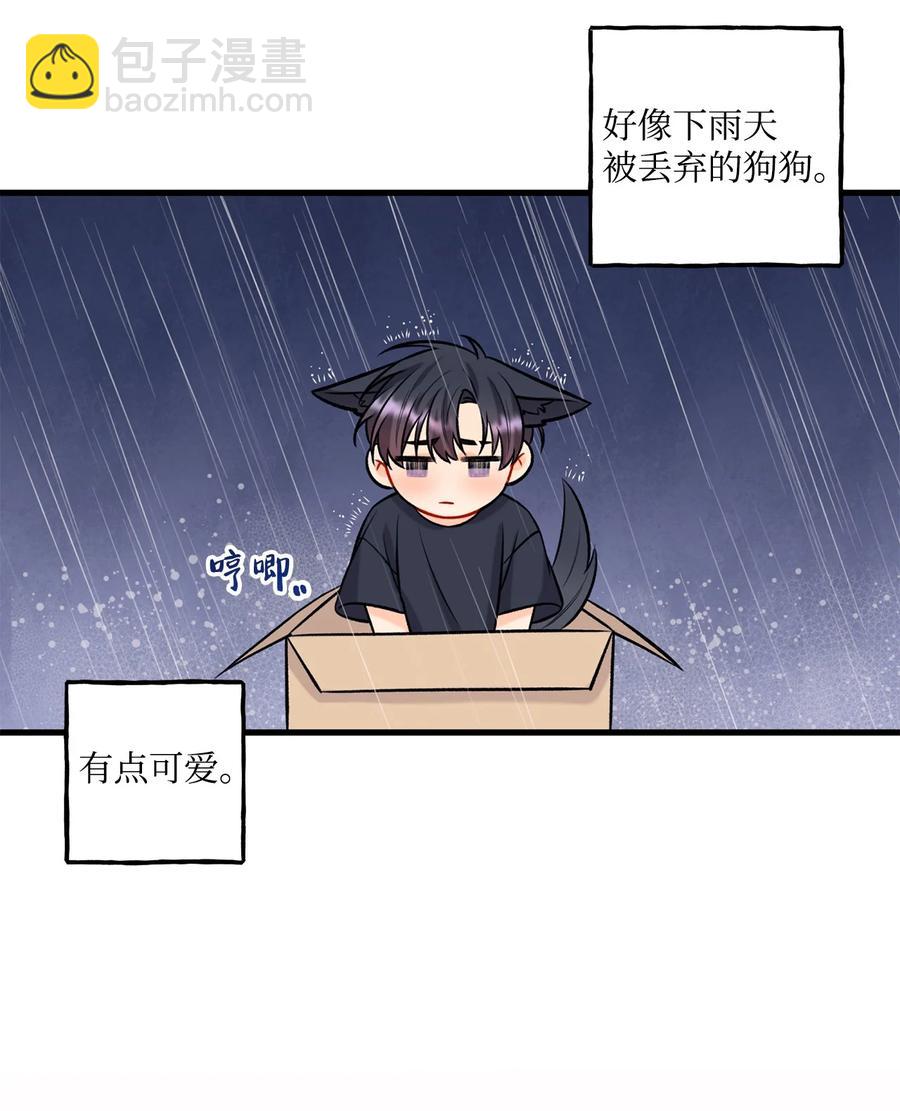 28 被丢弃的狗狗(1/2)-第29话