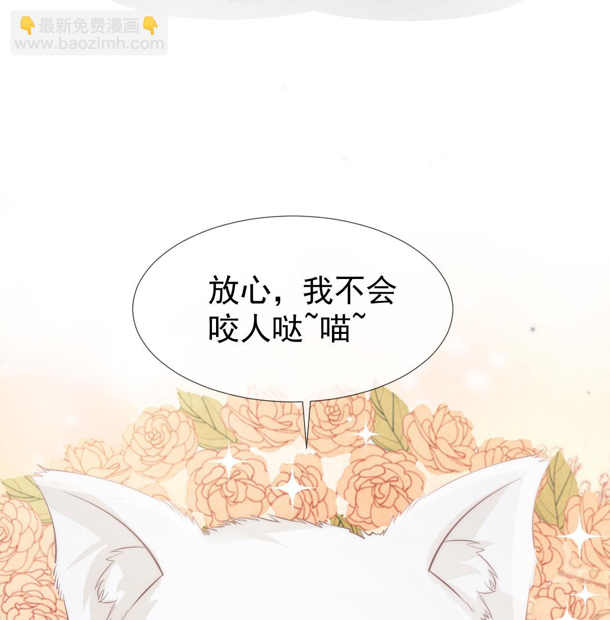 第24话 性感小猫咪(1/2)-第25话