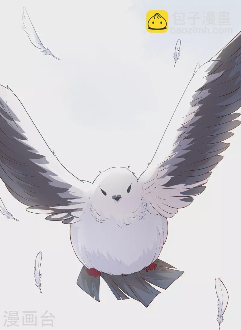 第22话 飞鸽斗气-第23话
