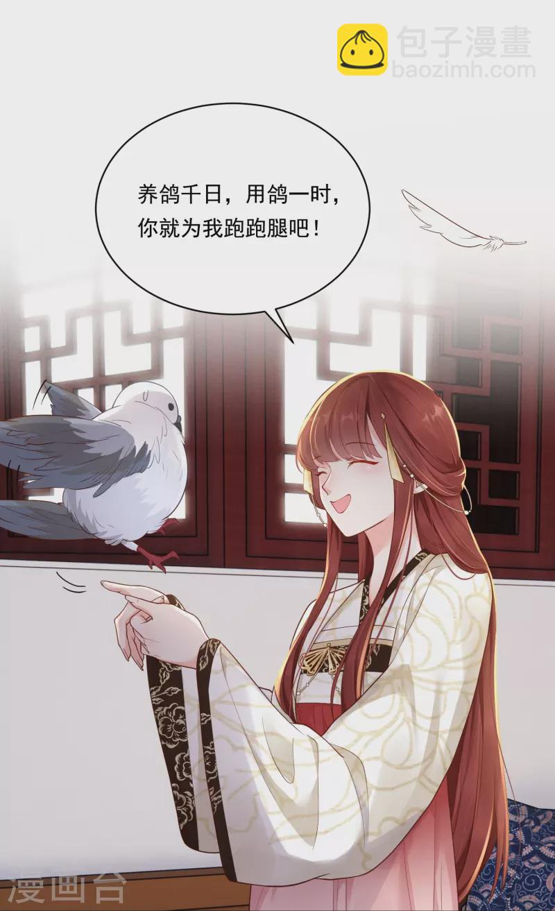 第22话 飞鸽斗气-第23话