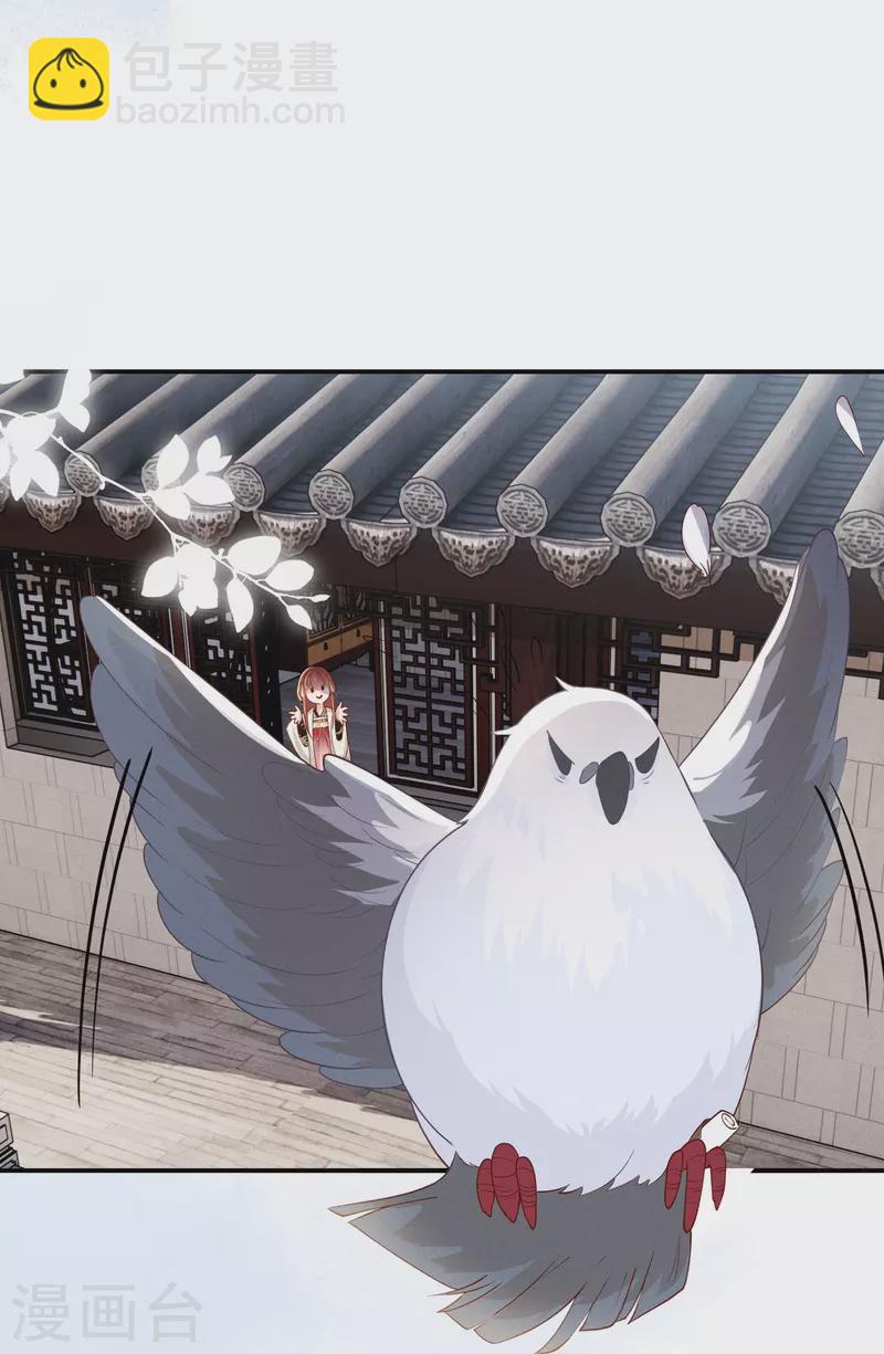 第22话 飞鸽斗气-第23话