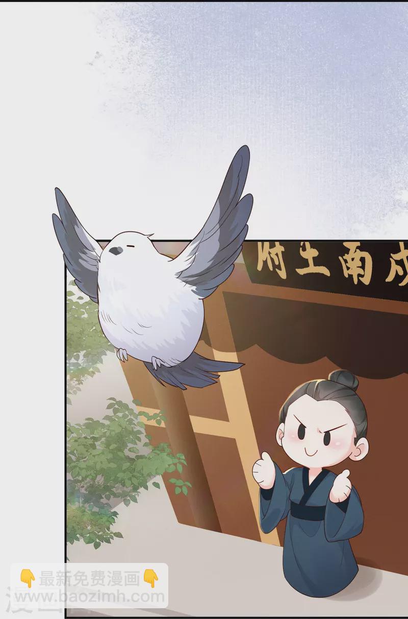 第22话 飞鸽斗气-第23话