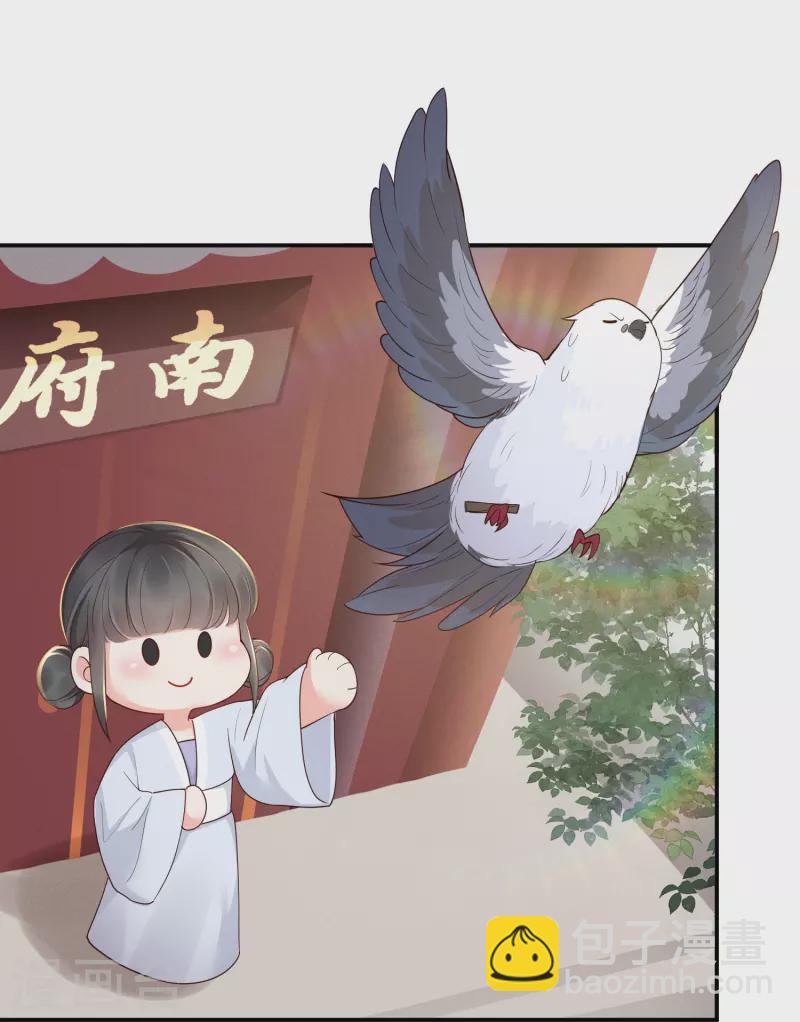 第22话 飞鸽斗气-第23话