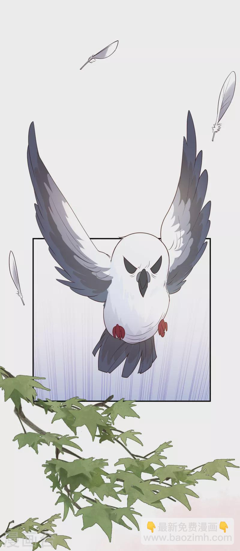 第22话 飞鸽斗气-第23话