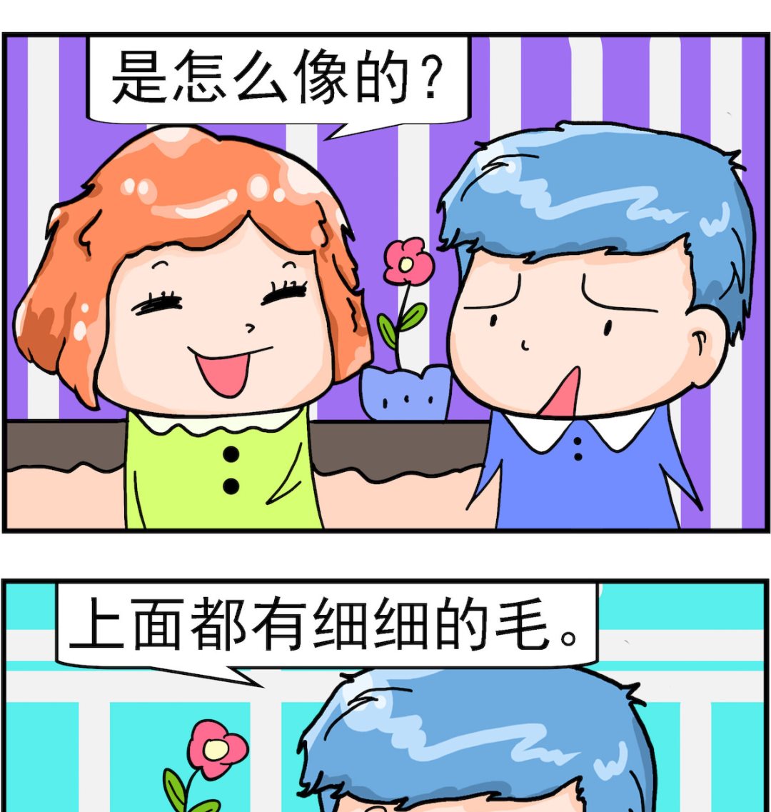 第079话 细细的毛-第79话