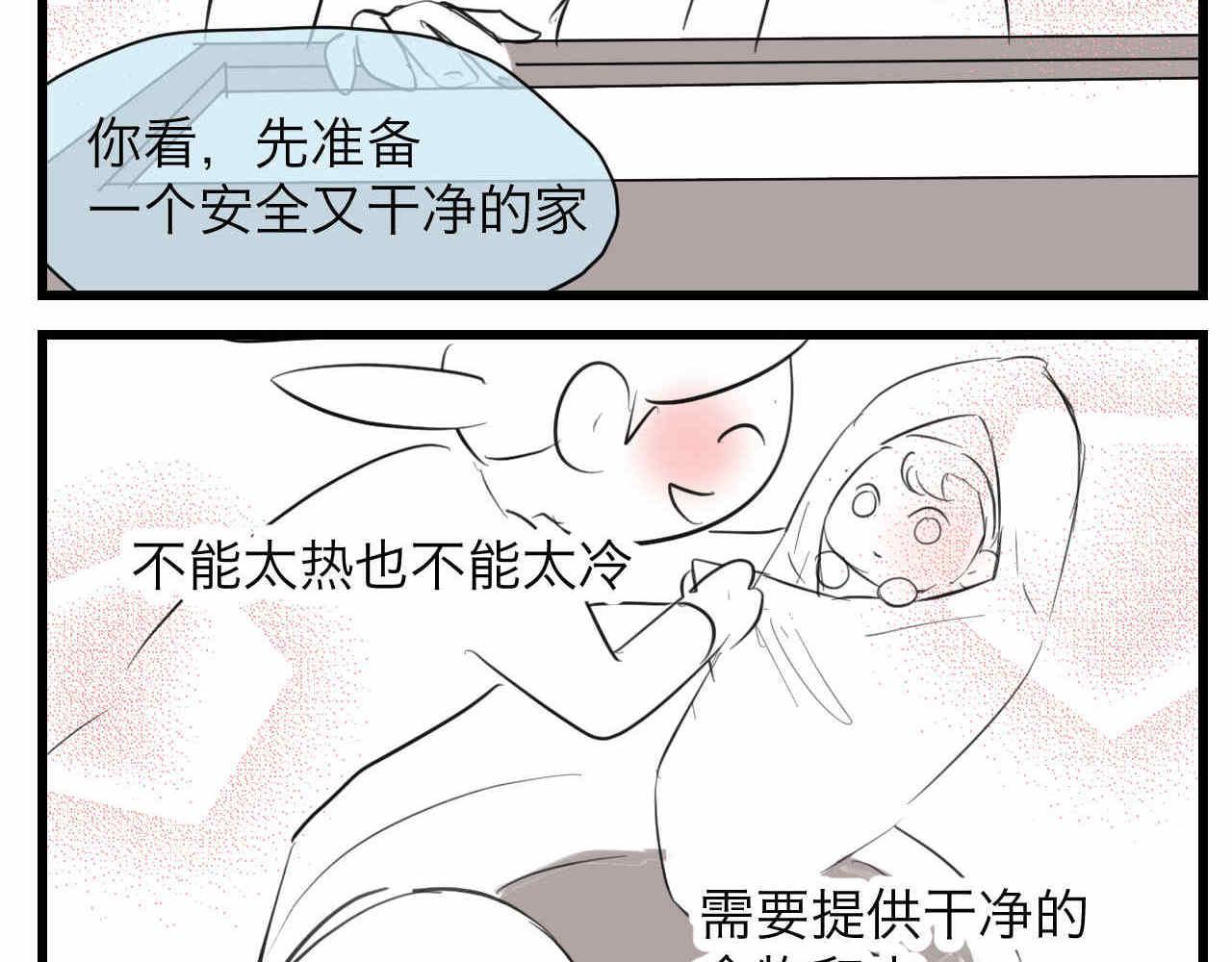 81.网红小鸡-第81话