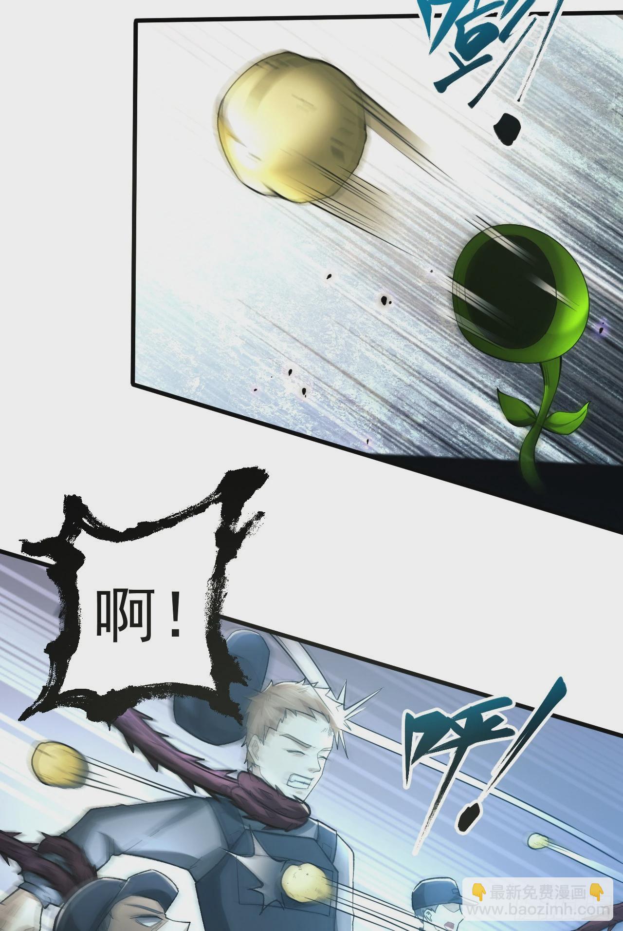 31.jpg